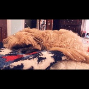 Meet your Posher, Alexandra